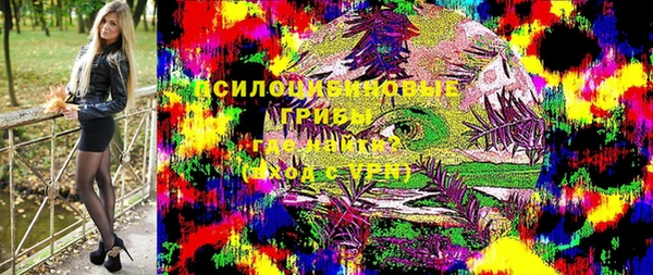 mdpv Богородицк