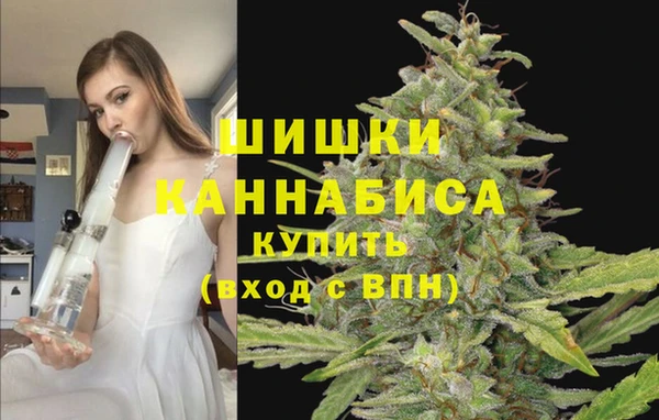 mdpv Богородицк