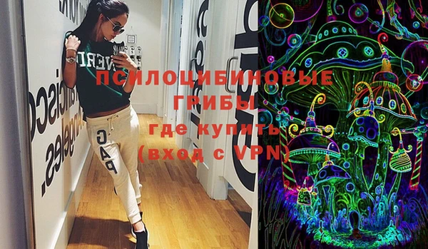 mdpv Богородицк