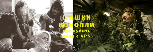 винт Богданович