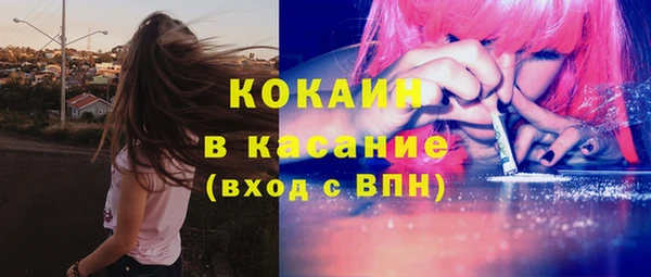 винт Богданович