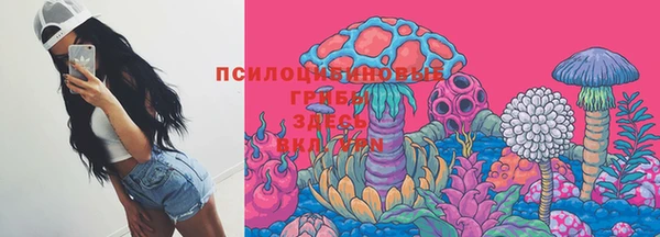 винт Богданович